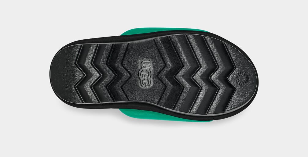Ugg hotsell graphic slide